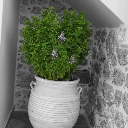 Vila Private House Niki Kalymnos Panormos  Exteriér fotografie