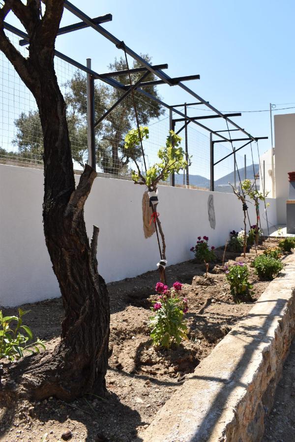 Private House Niki Kalymnos Villa Panormos (Kalymnos)
