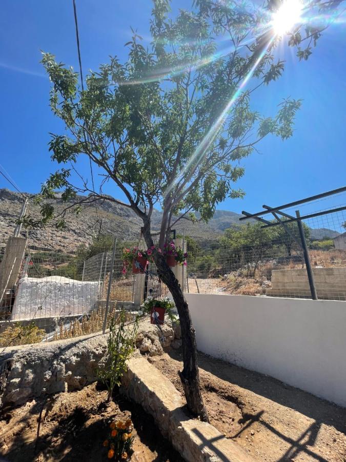 Private House Niki Kalymnos Panormos (Kalymnos)