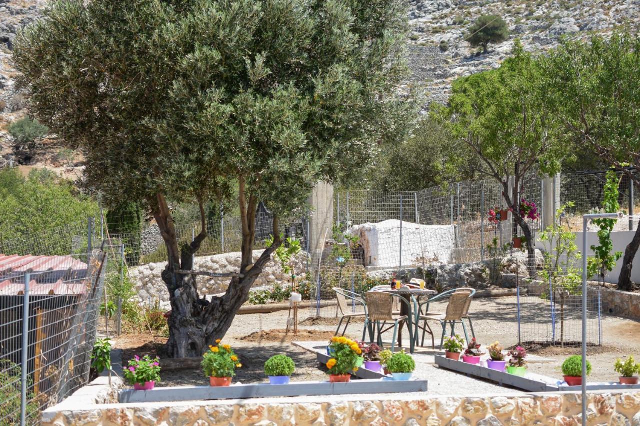 Private House Niki Kalymnos Panormos (Kalymnos)